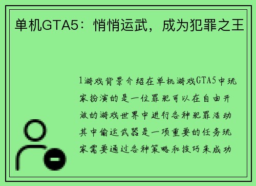 单机GTA5：悄悄运武，成为犯罪之王